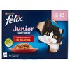 FELIX GHIOT.JUNIOR X12 - Foto 1 di 3