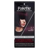 3-3 PALETTE VIOLA