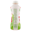 Latte Kefir Melograno E Lampone