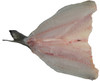 824*ORATA(X BRACE)TW - Foto 1 di 3