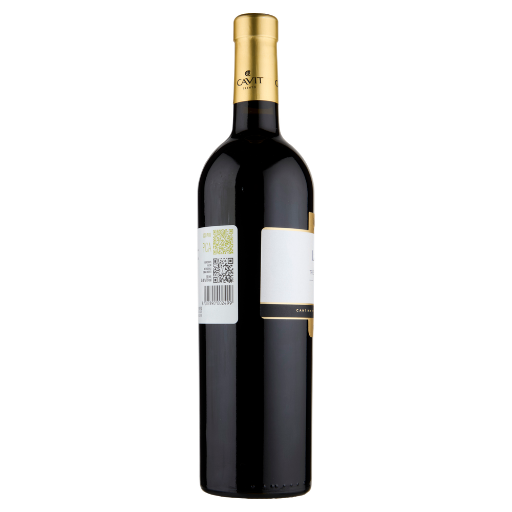 Lagrein Dunkel Trentino Doc Cavit - Foto 2