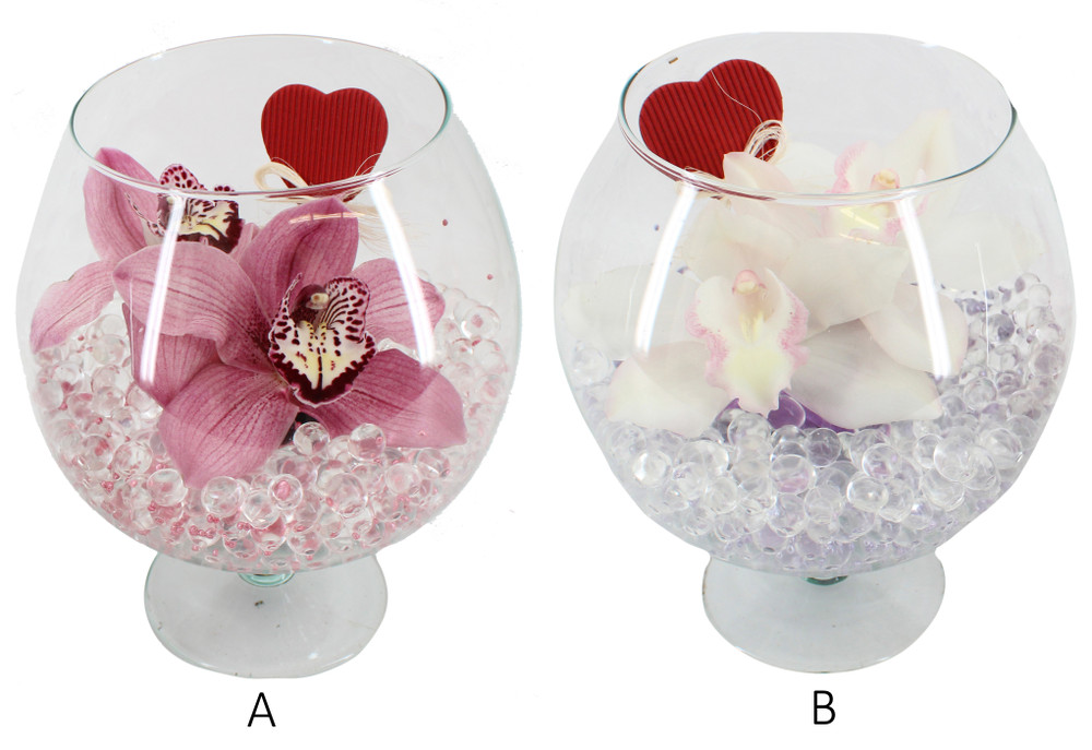 Cymbipack Cognac - Foto 1