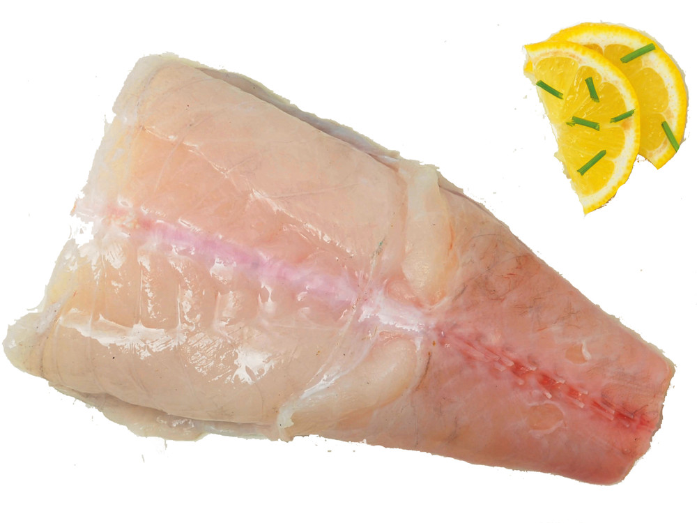 Coda Di Rana Pescatrice Atlantica - Foto 1